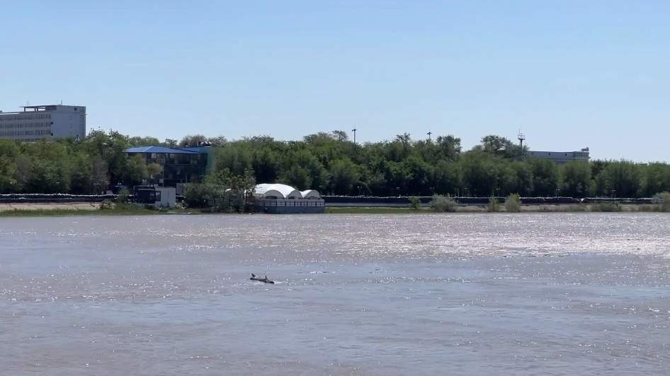 Наибольший-уровень-воды-в-реке-Жайык-—-близ-сел-Индербор-и-Махамбет-в-Атырауской-области