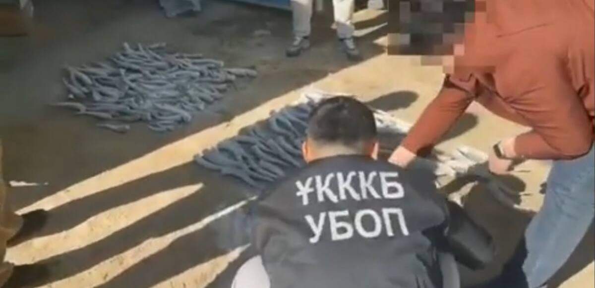 Граждан-Сирии-и-Казахстана-задержаны-за-браконьерство-в-Туркестанской-области