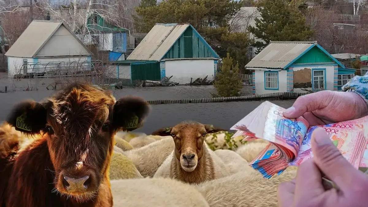 В-результате-наводнения-в-Кульсары-погибли-876-животных-и-532-птицы