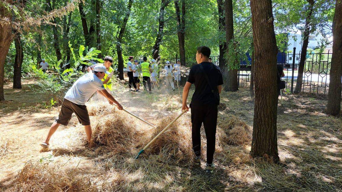 Таза-Қазақстан:-256-тонн-мусора-собрали-в-первый-день-национальной-декады-ко-Дню-молодежи