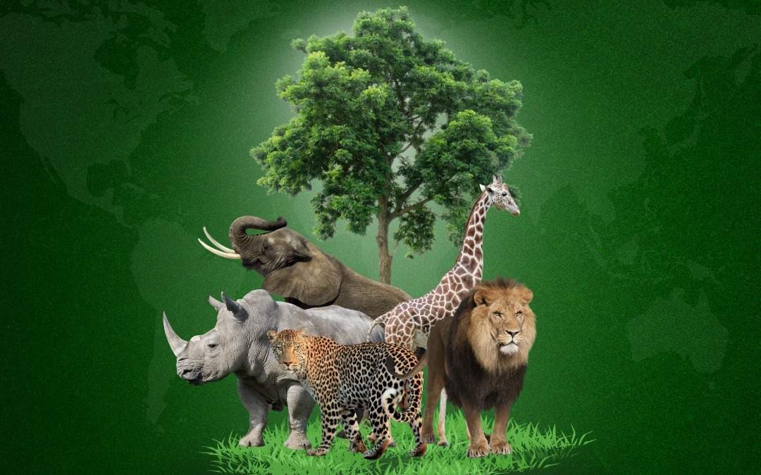 Критическое-состояние-биоразнообразия:-wwf-сообщает-о-катастрофическом-спаде-популяций