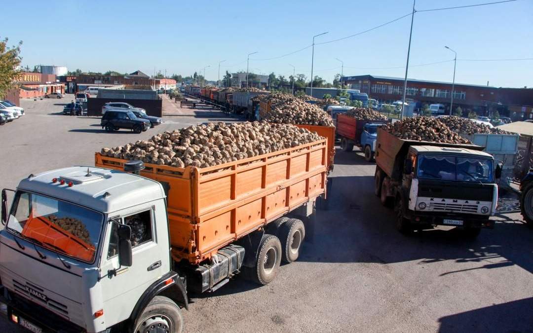 Фермеры-сутками-стоят-в-очереди-перед-сахарным-заводом-в-Жетысу