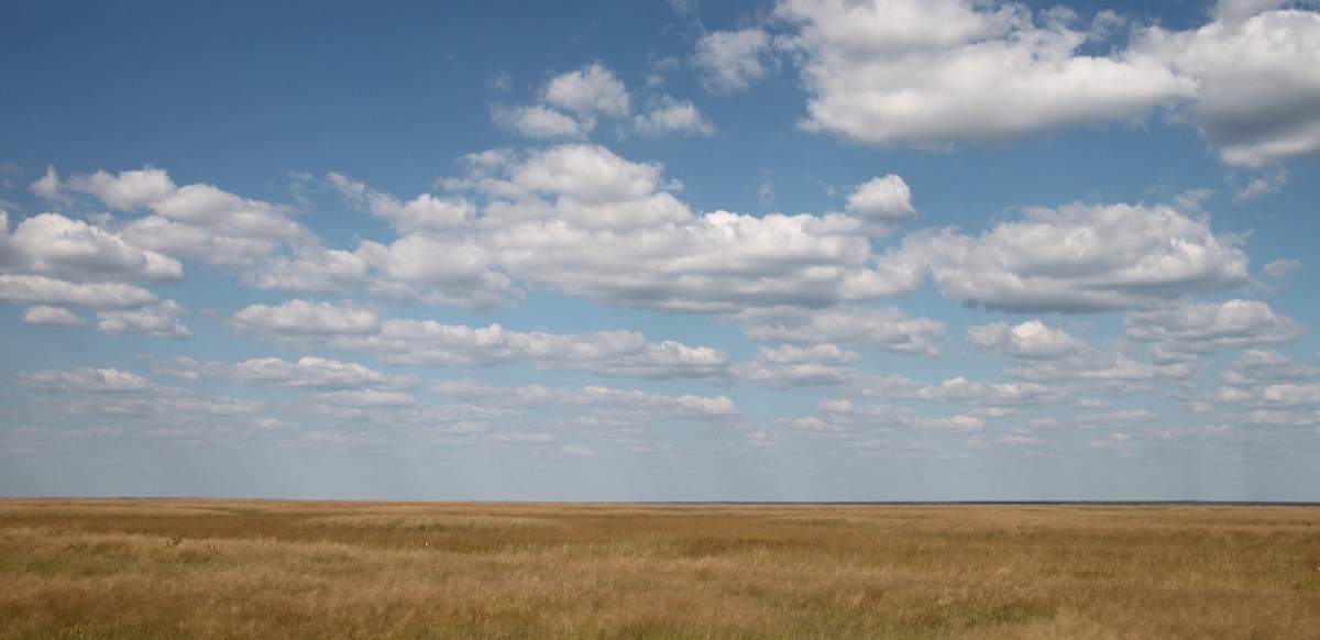Алматинская-область-возвращает-неиспользуемые-сельхозземли-в-госсобственность