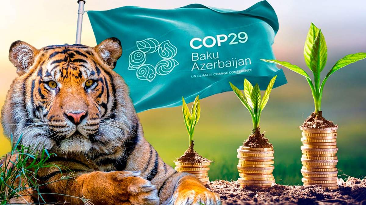 Участие-в-cop29,-зеленые-инвестиции,-возвращение-тигров:-что-пишут-мировые-СМИ-о-Казахстане