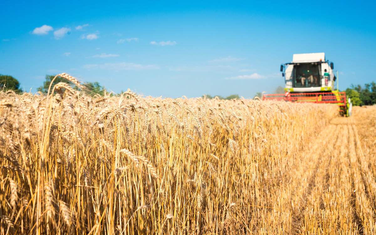 Снижение-себестоимости-сельхозпродукции-ожидают-в-Казахстане
