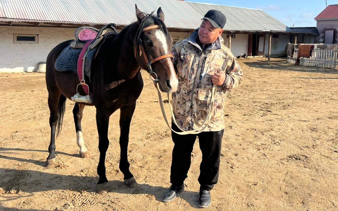 Для-роста-поголовья-адайских-лошадей-необходима-помощь-государства-—-фермер