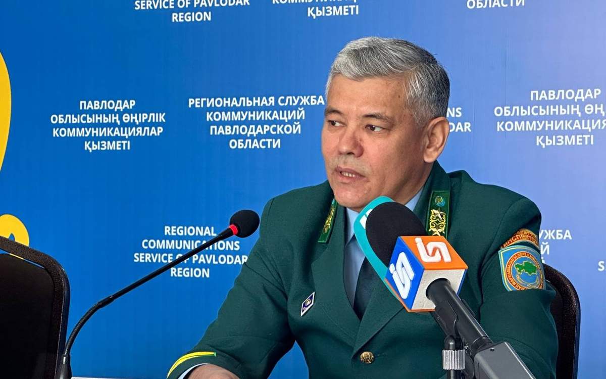 Число-сайгаков-выросло-в-пять-раз-в-Павлодарской-области