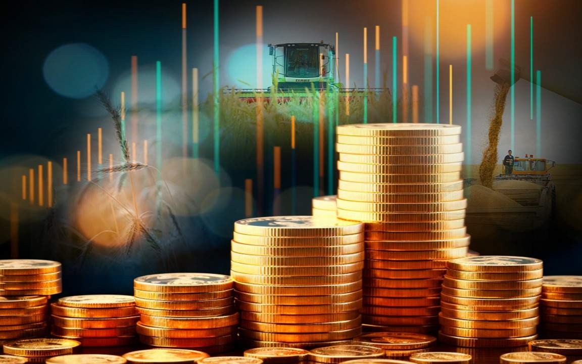 Долги-по-субсидиям:-37-млрд-тенге-пока-не-дошли-до-акмолинских-аграриев