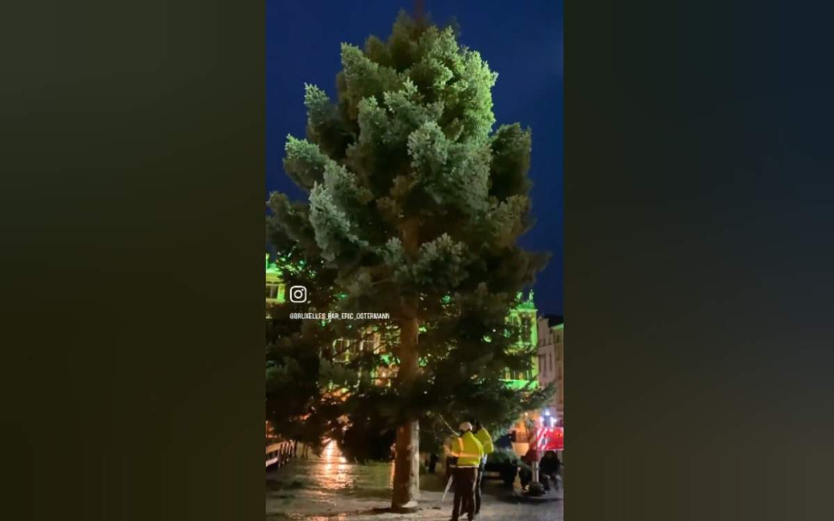 В-Брюсселе-зажгли-рождественскую-елку