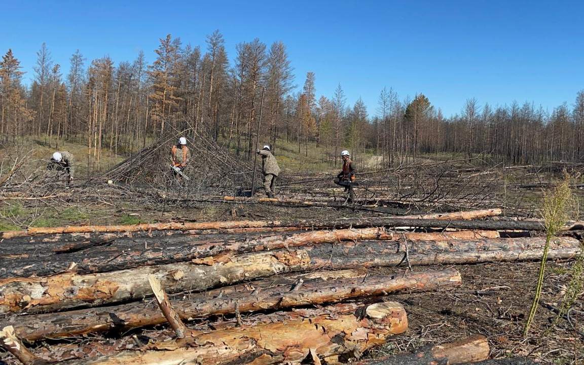 Лесника-осудили-за-незаконную-вырубку-сгоревших-деревьев-в-Костанайской
области