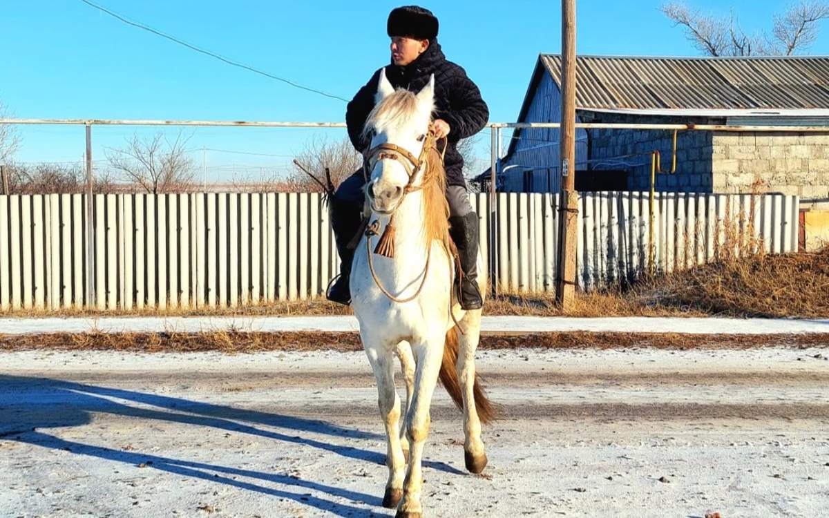 Катание-на-лошади-и-прогулки-с-тазы-—-сельчанин-из-ЗКО-распространяет-традиции-в-соцсети