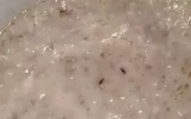 Насекомые-были-обнаружены-в-каше-в-детском-саду-Актобе
