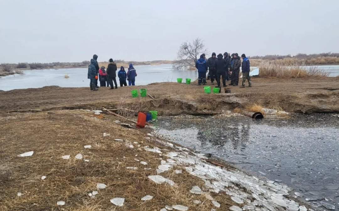 Молодь-рыб-спасают-на-водоканале-Баксай-в-Атырау