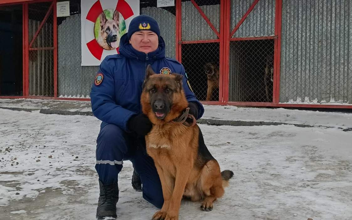 Спасти,-играя:-как-дрессируют-собак-спасателей-в-Акмолинской-области
