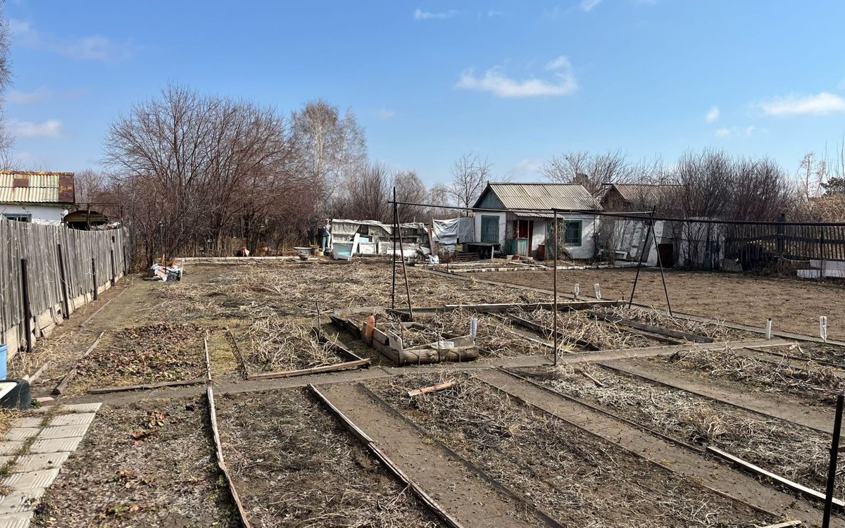 Свое-с-грядки:-выгодно-ли-содержать-дачу-в-Павлодарской-области