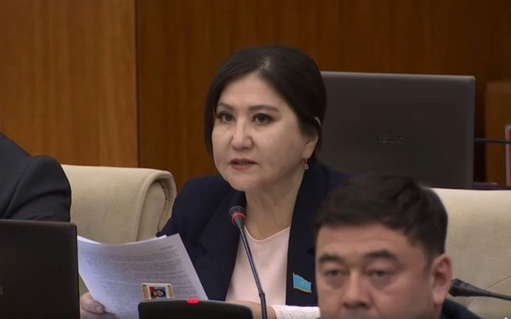 Депутат-предупредила-о-возможных-последствиях-введения-НДС-в-здравоохранение