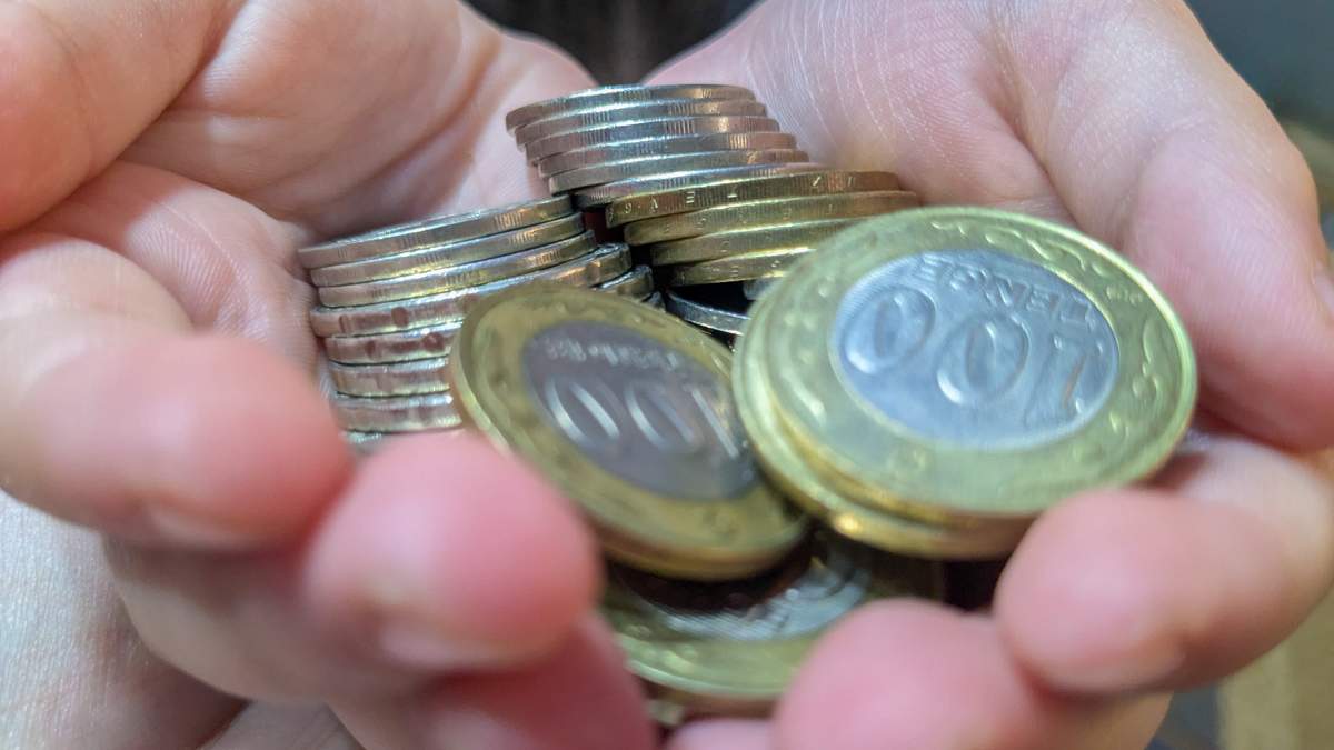 «Зависли-в-долгах»:-переработчики-ВКО-ждут-субсидий-годами