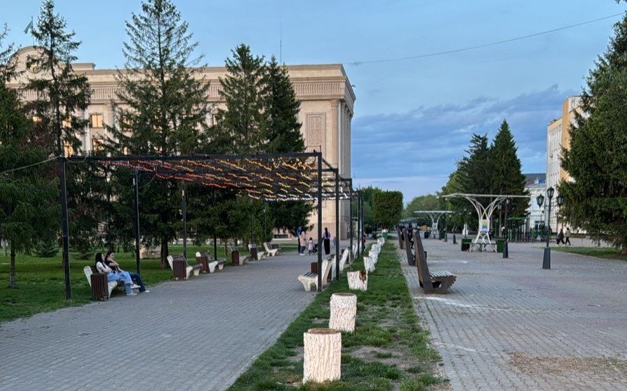 Акимат-Уральска-объяснил-вырубку-деревьев-в-городе