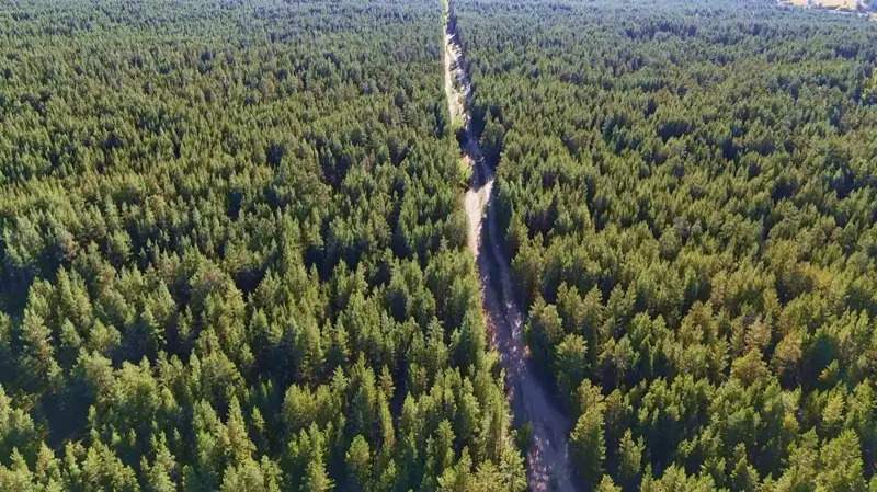 Сотрудники-нацпарка-в-области-Абай-работали-по-поддельным-дипломам