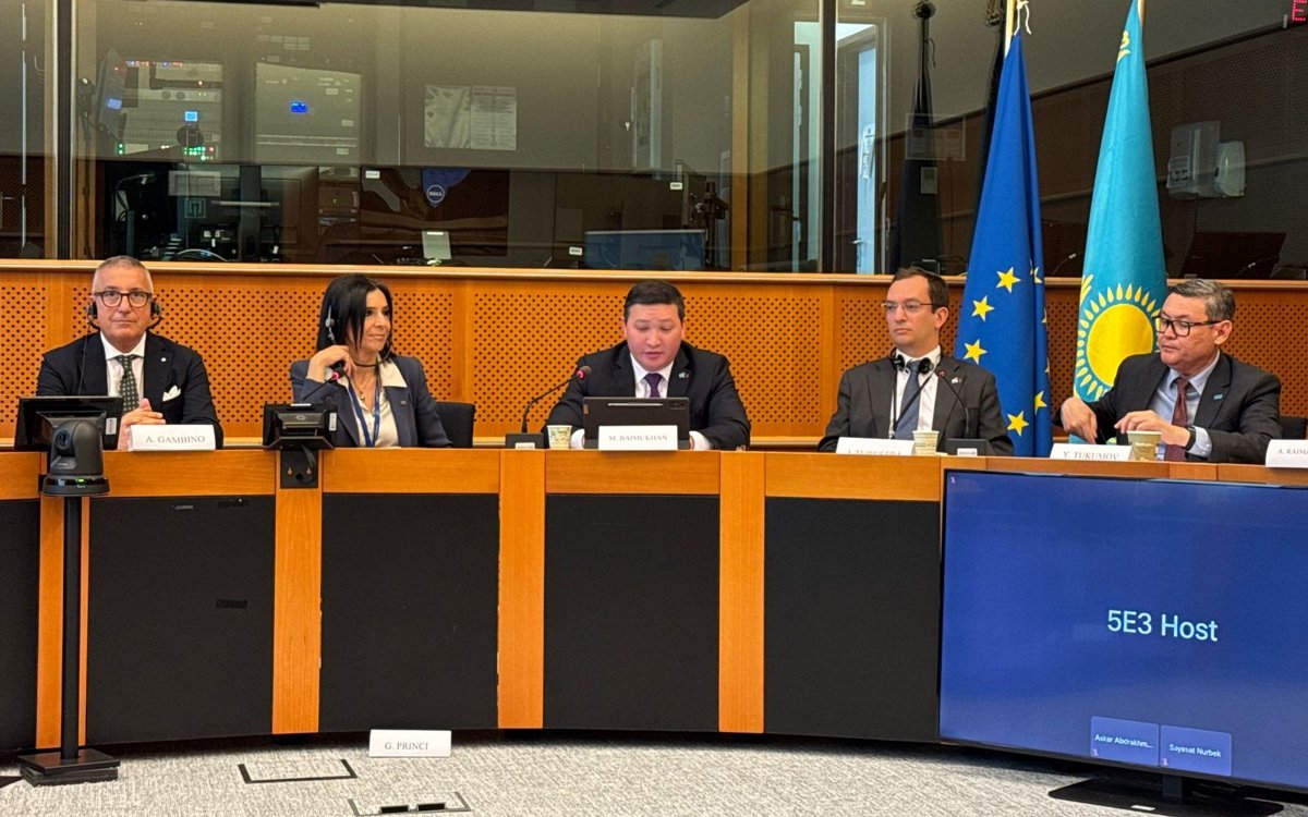 В-Европарламенте-обсудили-укрепление-связей-с-Казахстаном-в-образовании