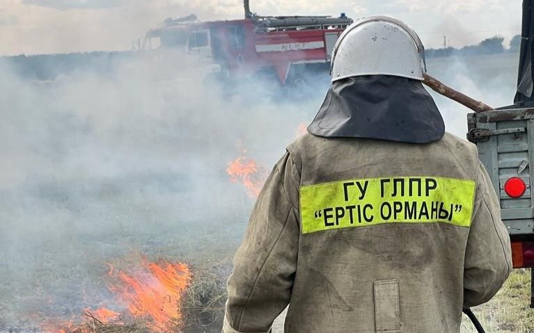 В-лесных-хозяйствах-на-Иртыше-недостаточно-ресурсов-для-борьбы-с-пожарами