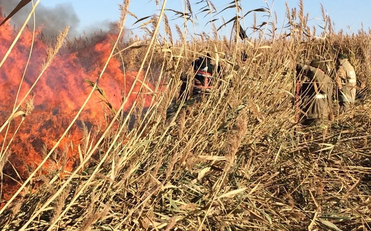 Пожар-в-природном-резервате-«Акжайык»:-Атырау-накрыло-дымом
