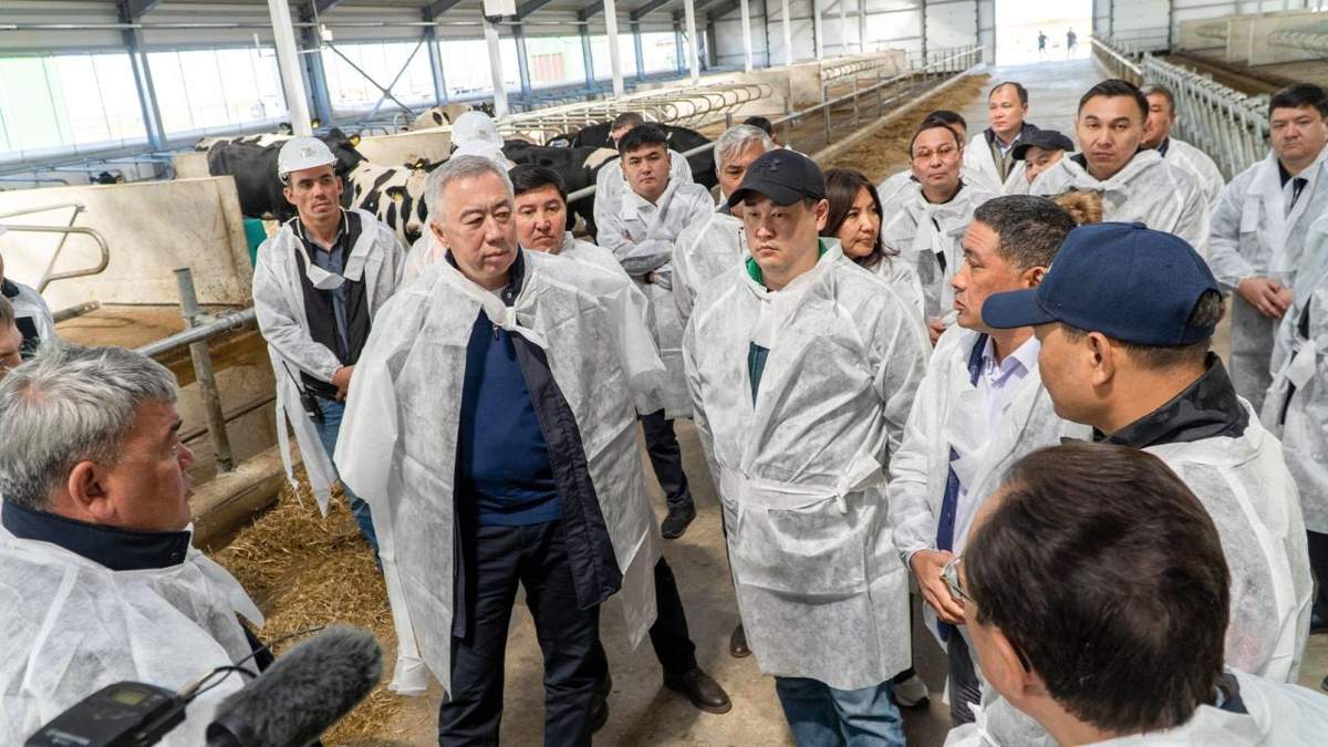 Казахстан-выстраивает-сквозную-модель-в-животноводстве:-от-фермы-до-экспорта