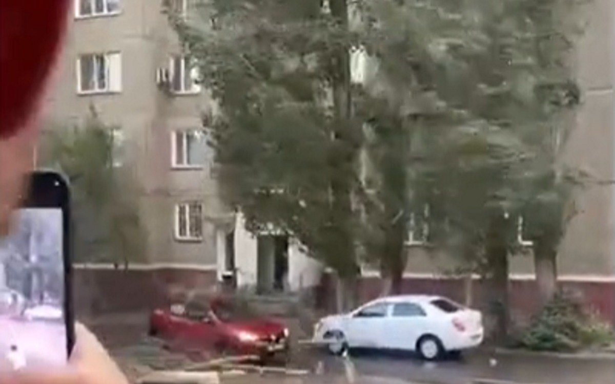 Женщину-насмерть-проткнуло-упавшим-деревом-в-Павлодарской-области