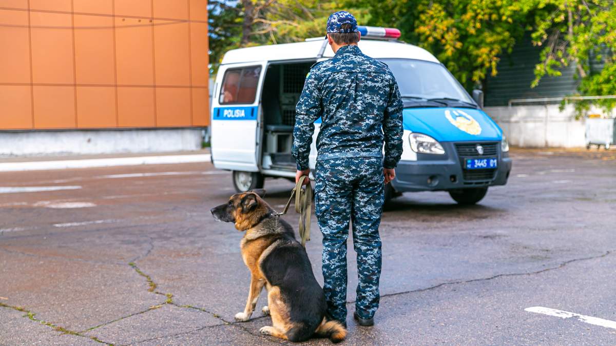 Почему-в-Жамбылской-области-преступлений-стало-больше,-пояснили-в-полиции