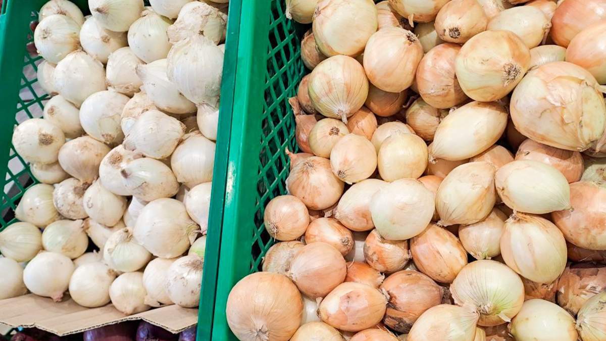 Овощами-из-южных-областей-страны-стабилизируют-цены-на-продукты-в-Костанае