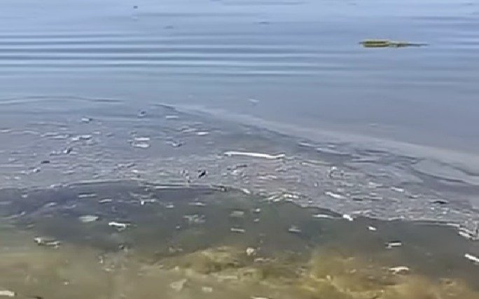 Масляные-пятна-и-мусор-обнаружили-на-поверхности-моря-в-Актау
