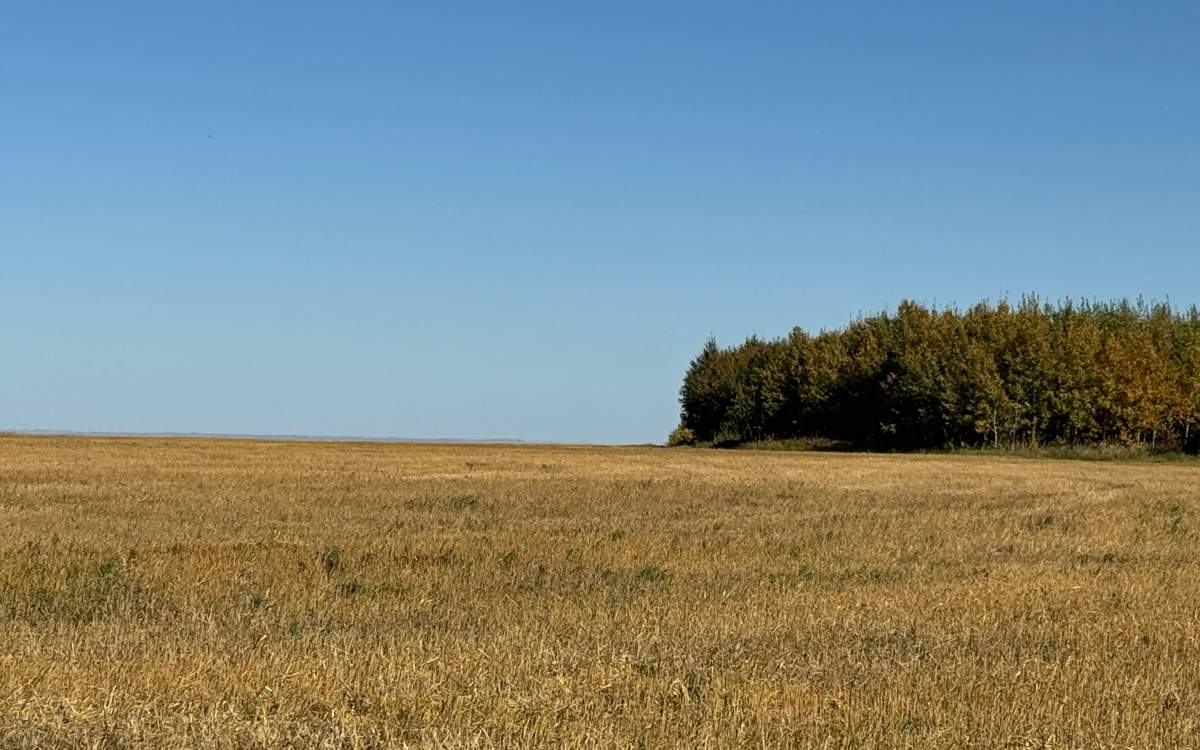 В-Казахстане-оцифровано-100%-сельхозугодий