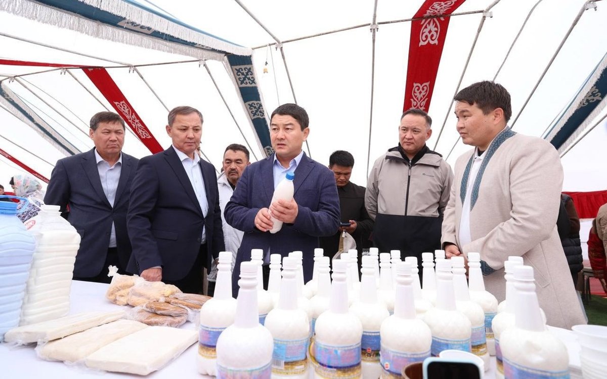 Ақ-Мая-fest:-как-шубат-может-стать-новым-брендом-Мангистау