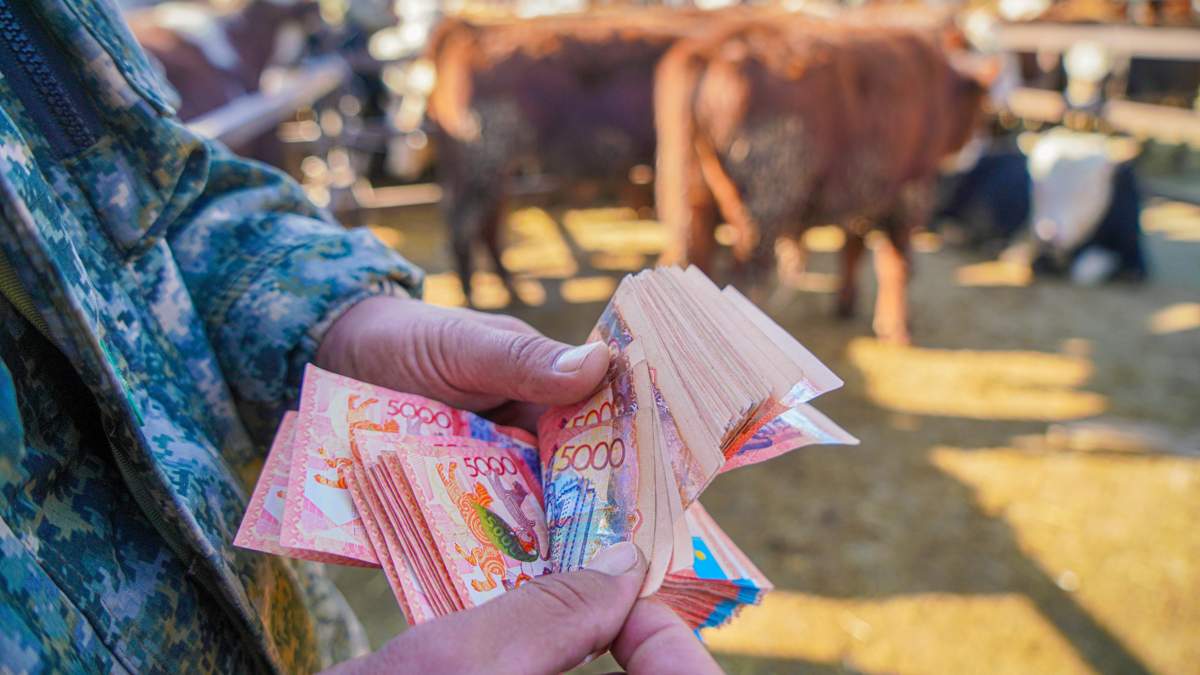 Почти-100-млн-субсидий-на-скот-похитили-в-Костанайской-области
