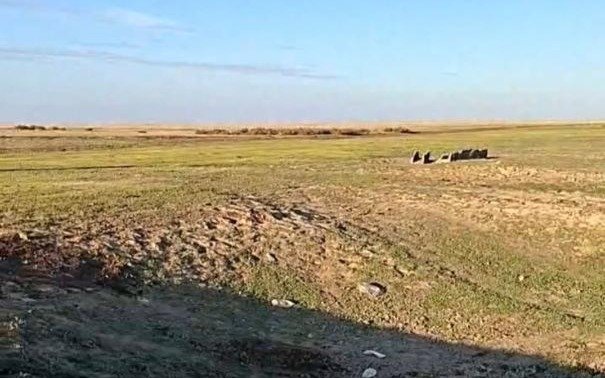 В-Минэкологии-ответили-на-сообщения-о-брошенных-отходах-после-разделки-сайгаков