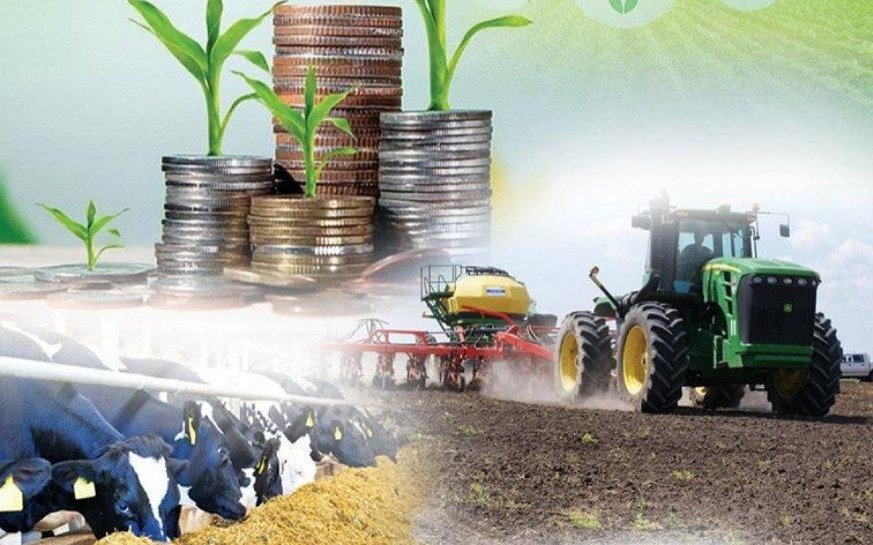 Казахстан-увеличил-производство-продуктов-питания-и-переработку-сельхозпродукции