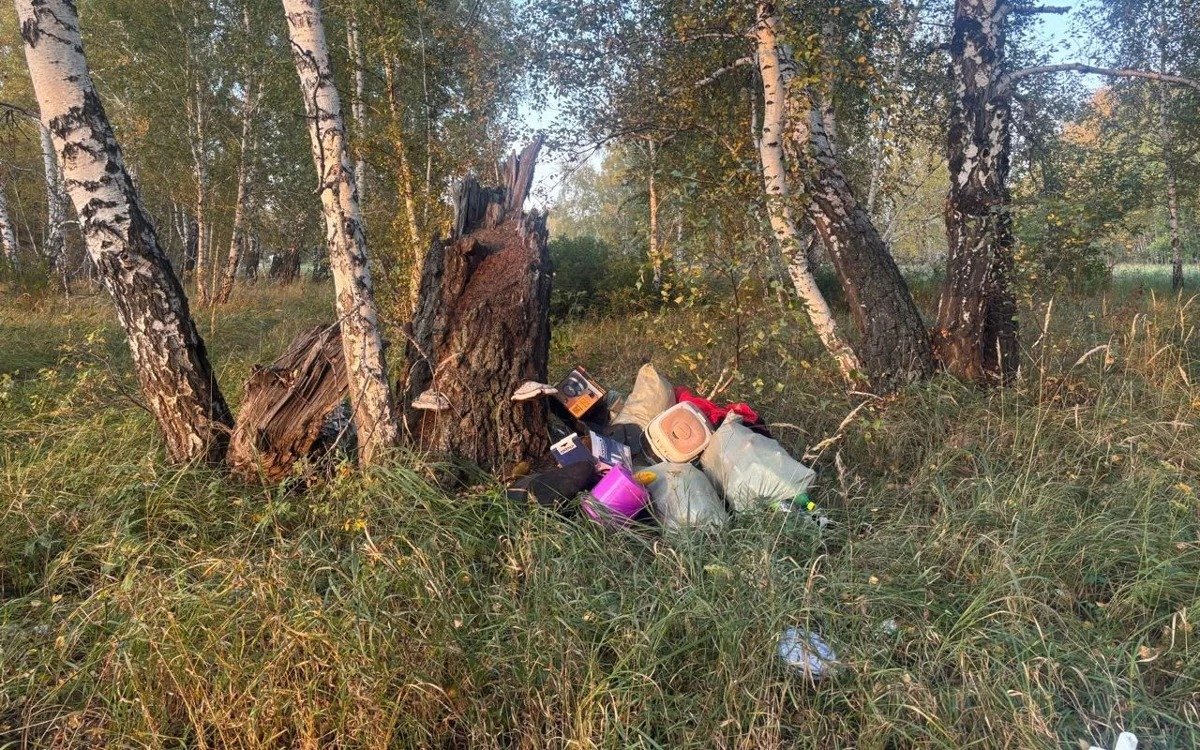 В-СКО-закрыли-полигон:-леса-тонут-в-отходах