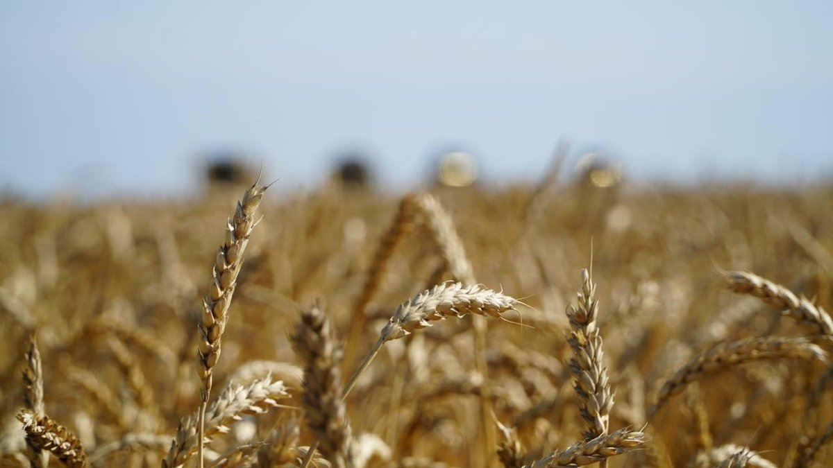 Объем-производства-сельхозпродукции-в-Казахстане-увеличился-в-2,5-раза