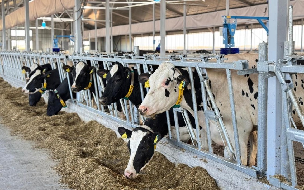 Рост-валовой-сельхозпродукции-вырос-в-Казахстане-на-5,4%