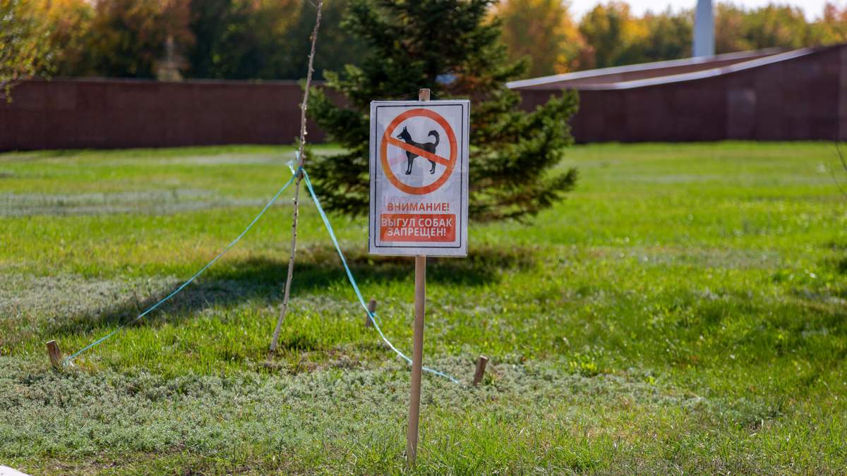 Спецпостановление-для-исполнения-правил-выгула-животных-принимает-акимат-Астаны