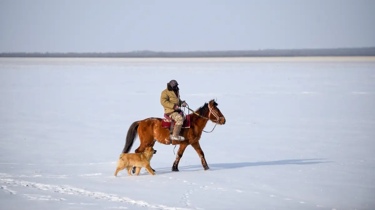 На-каких-животных-и-птиц-можно-охотиться-зимой-в-Павлодарской-области
