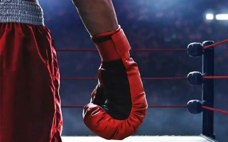 Казахстанские-боксеры-будут-быстрее-выходить-на-титульные-бои-wbc