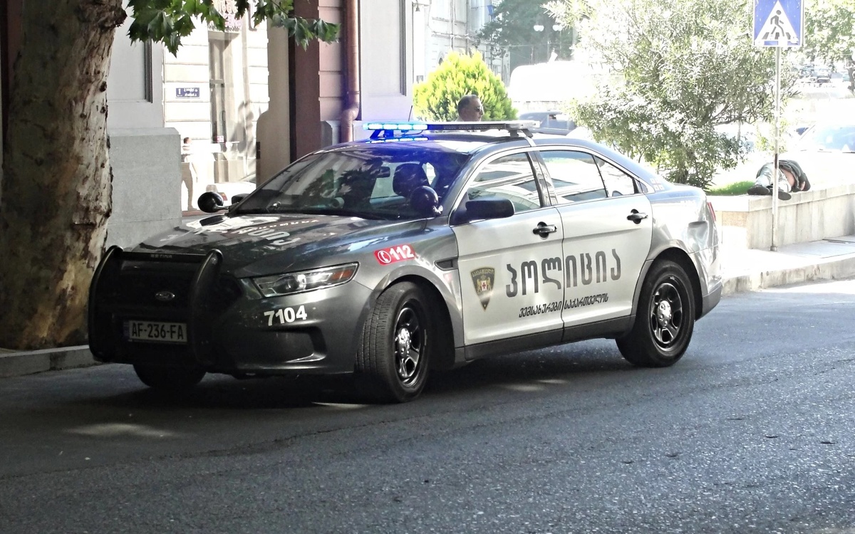 В-Грузии-задержан-экс-министр-обороны-по-обвинению-в-организации-беспорядков