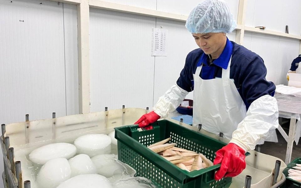 Почти-60-тысяч-тонн-рыбной-продукции-произвели-в-Казахстане-за-11-месяцев-2025-года