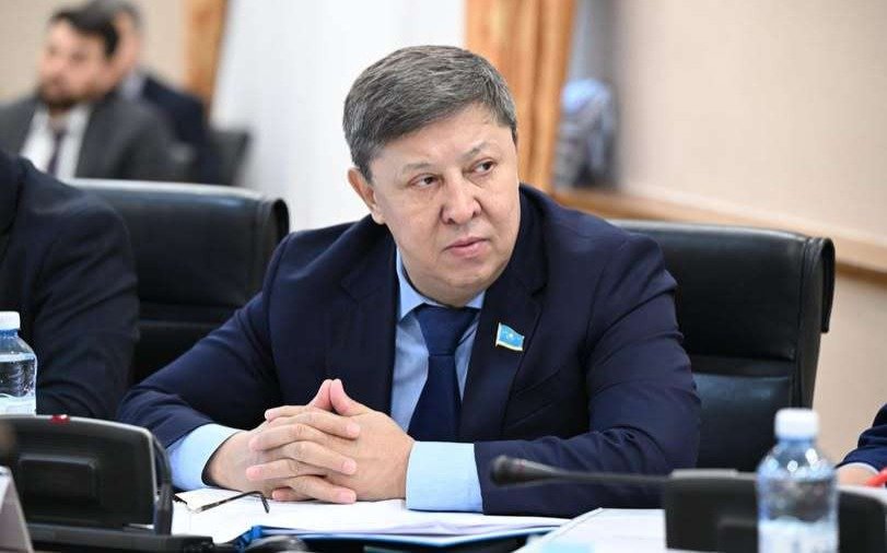 Депутат-призвал-расширить-пограничную-полосу-на-юге-Казахстана
