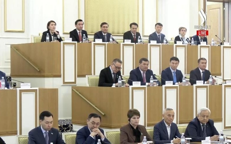 Каков-порядок-назначения-и-полномочия-вице-президента-в-Казахстане