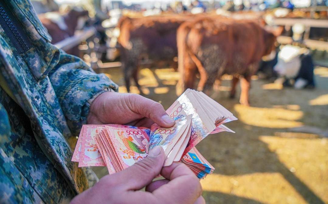 Минсельхоз-РК-изменил-правила-субсидирования-в-агропромышленном-комплексе