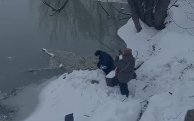 Экологи-выясняют-причину-массовой-гибели-рыбы-в-одном-из-районов-Акмолинской-области