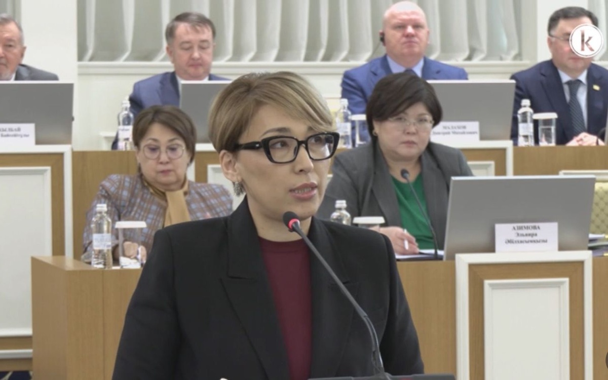Проект-новой-Конституции-закрепляет-права-граждан-в-цифровой-среде-—-Еркежан-Кунтуган