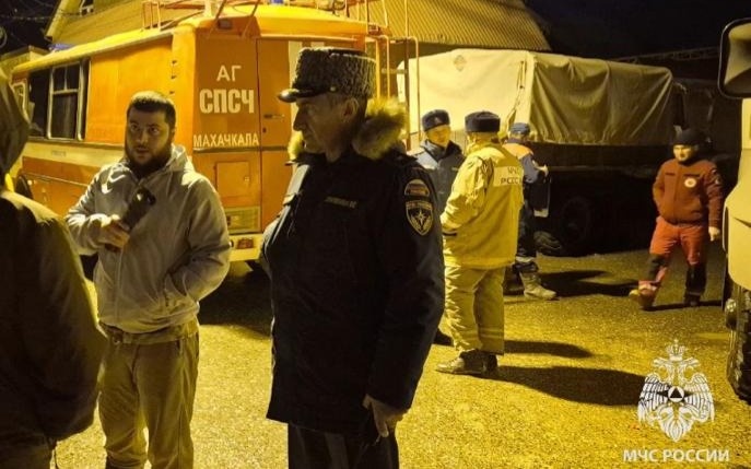 Выращенных-в-области-Жетысу-краснокнижных-соколов-выпустили-в-дикую-природу